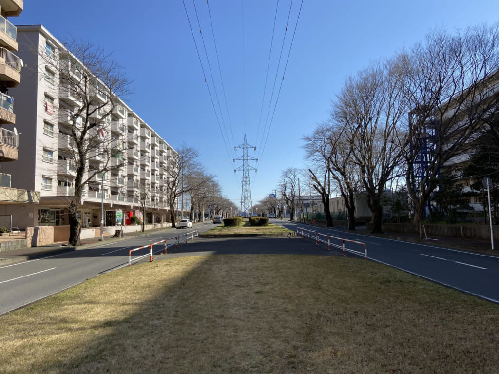 六実さくら通り