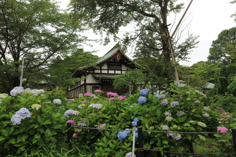 松戸市の本土寺