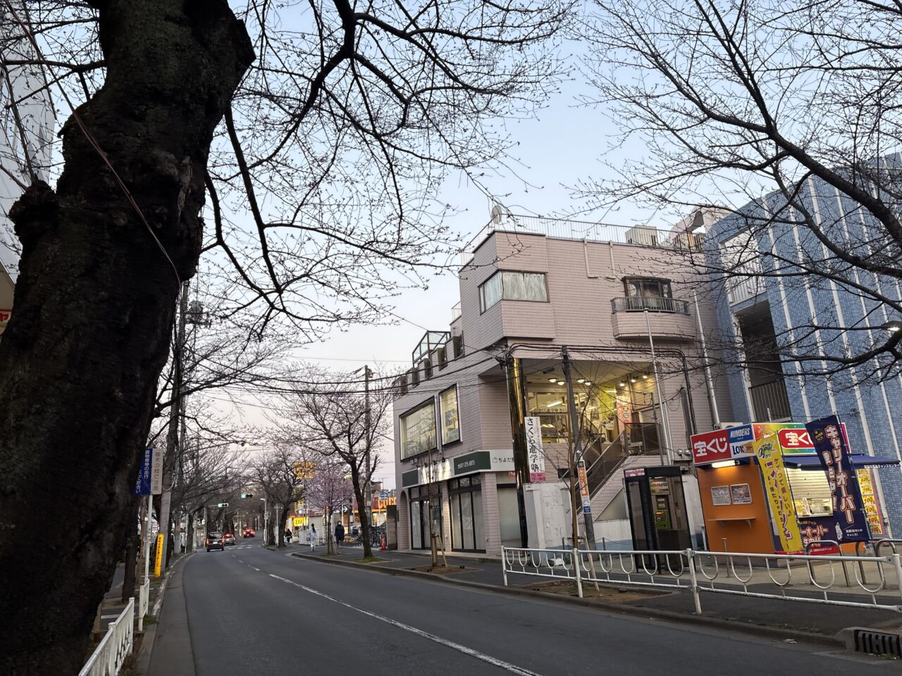 常盤平桜まつり２