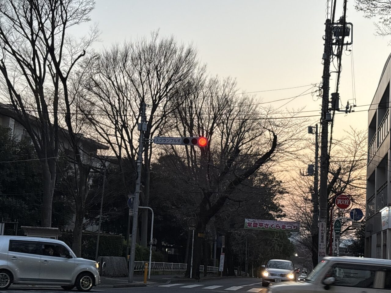 常盤平桜まつり