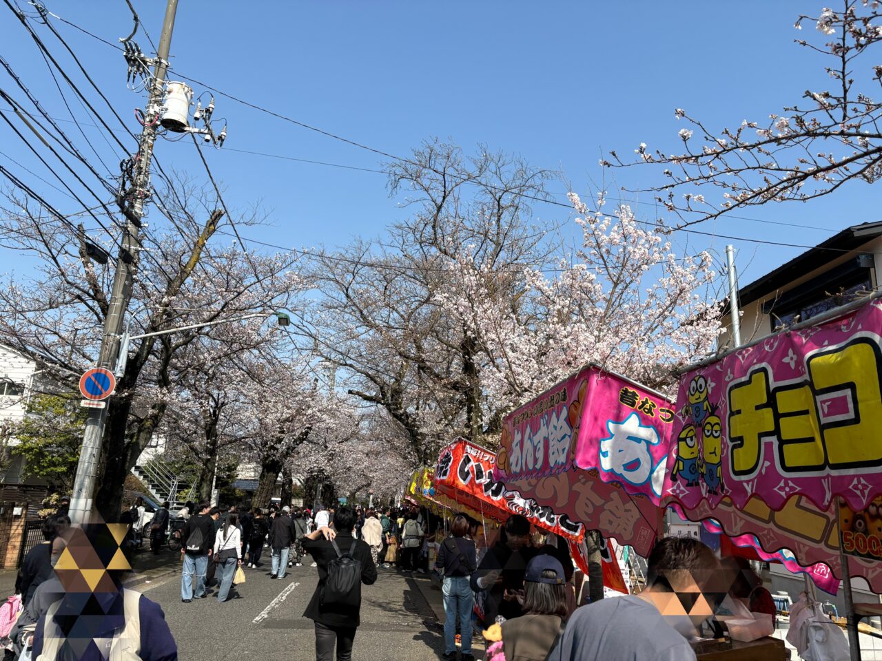 桜祭りの様子