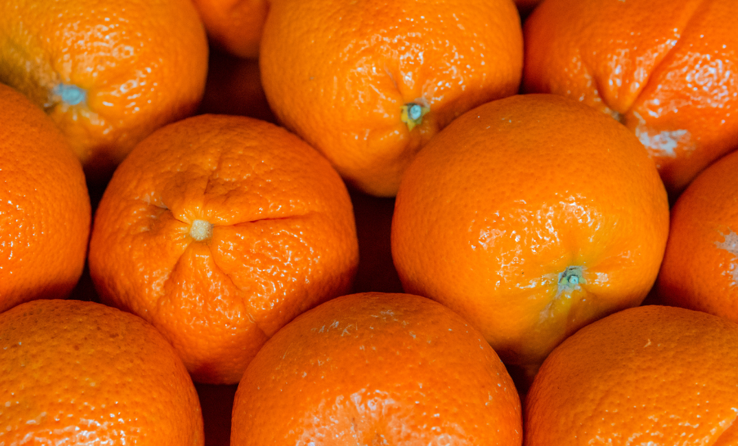 みかん詰め放題