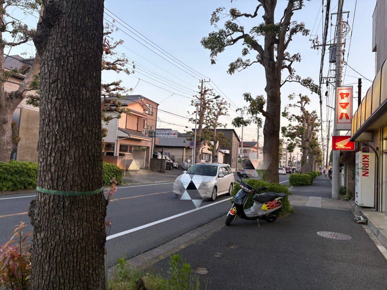 サロン前の道