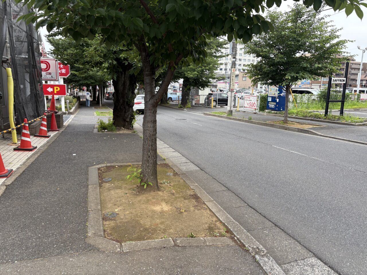 道路