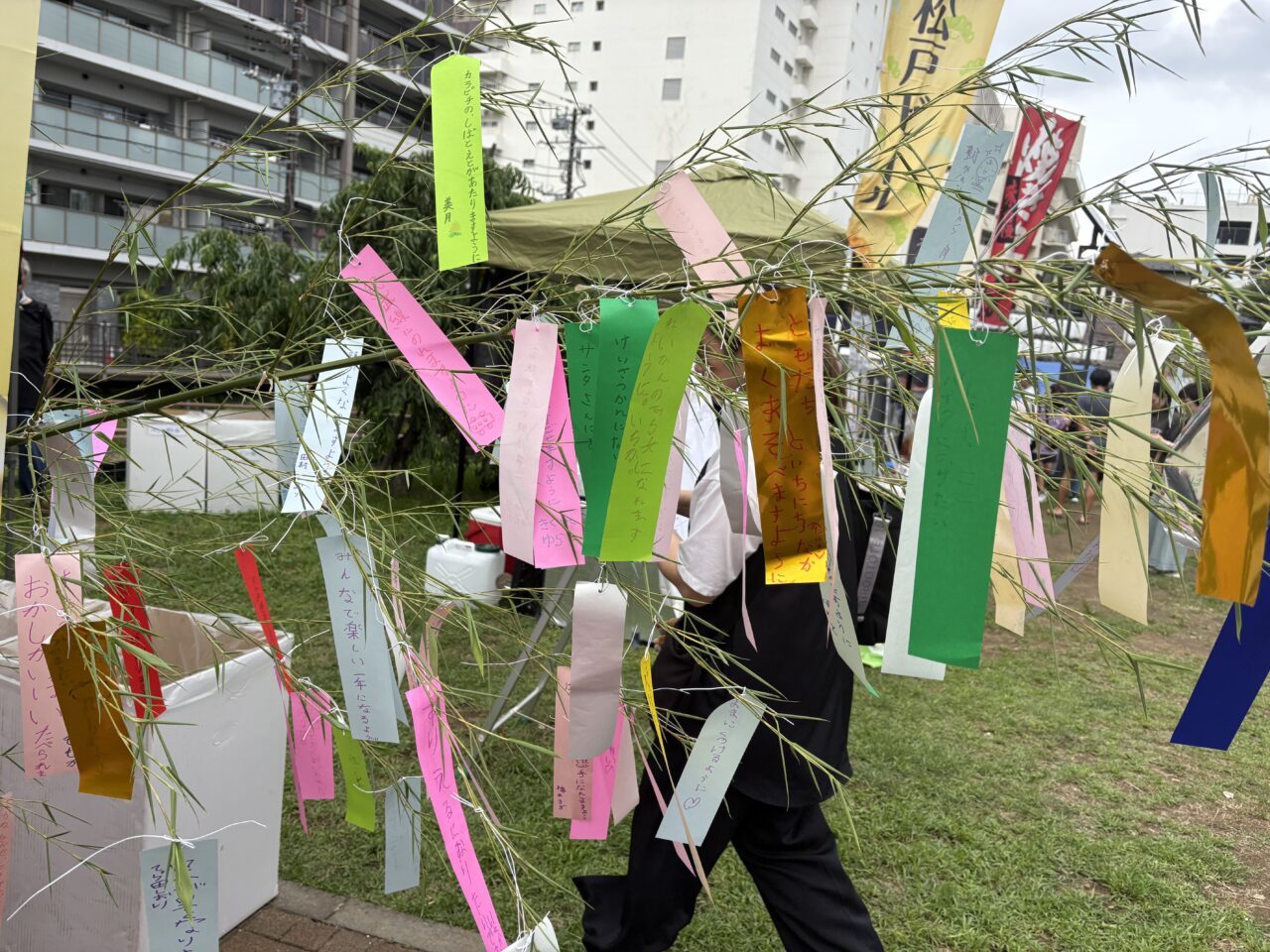 笹の葉