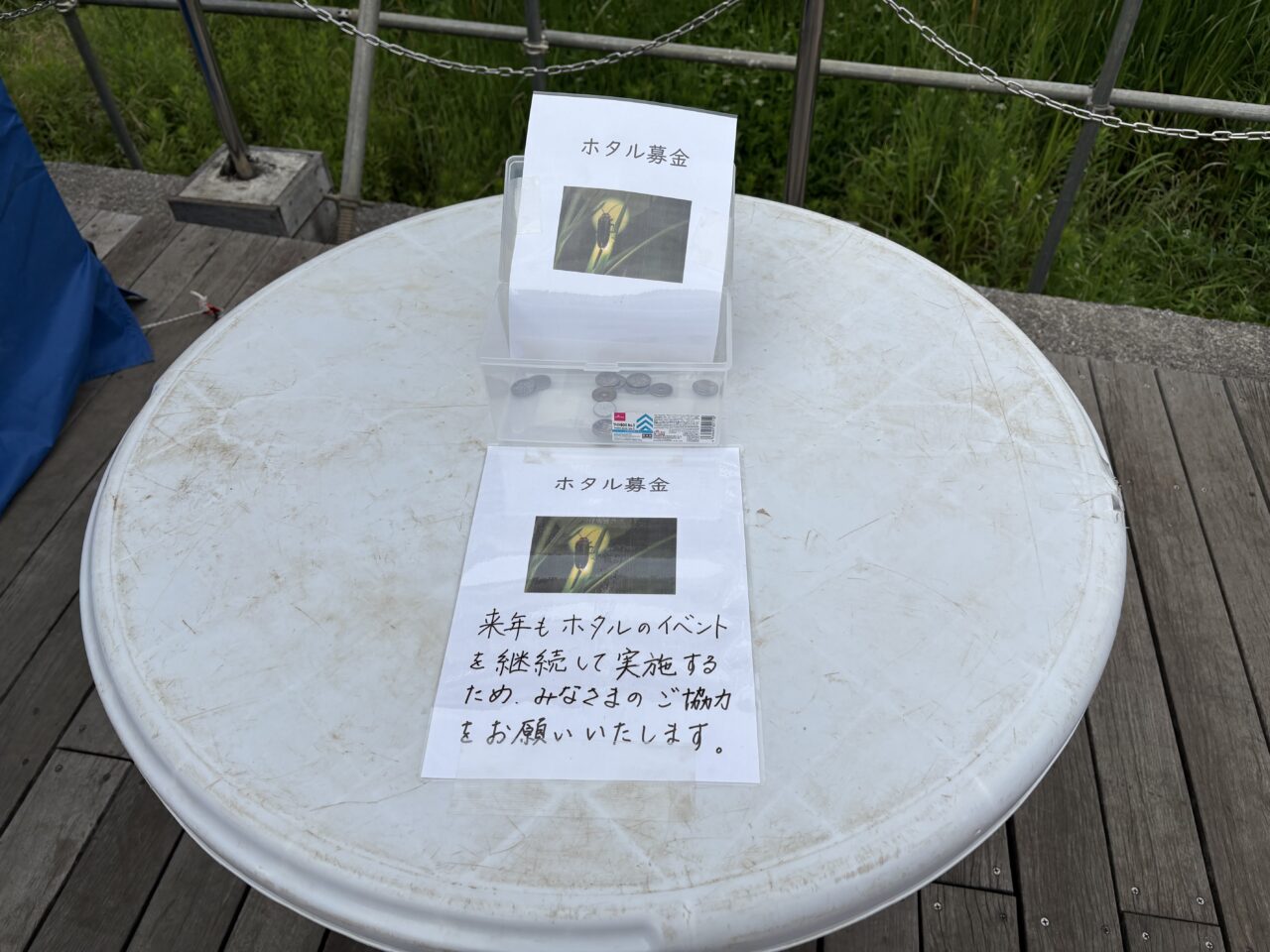 蛍