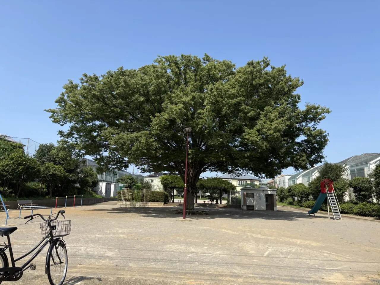 公園