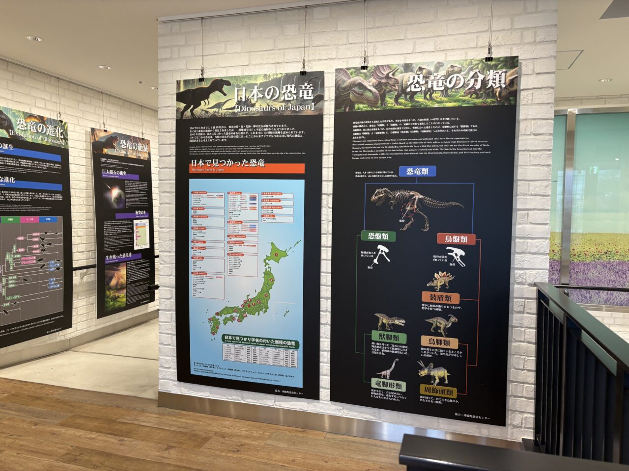 展示